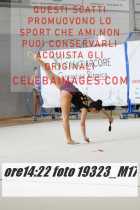 19323_M17-