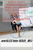 19341_M17-