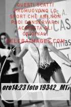 19342_M17-