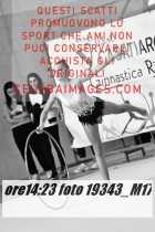 19343_M17-