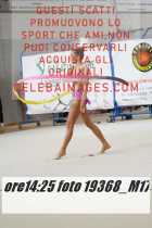 19368_M17-