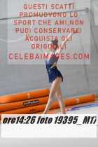 19395_M17-