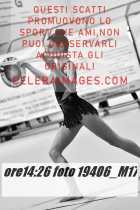 19406_M17-