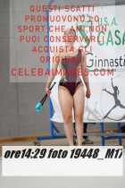 19448_M17-