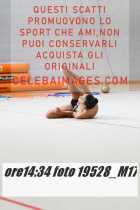19528_M17-
