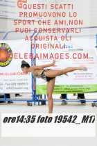 19542_M17-