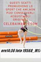 19568_M17-