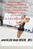 19576_M17-