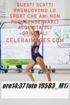 19583_M17-