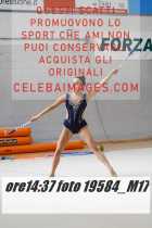 19584_M17-