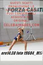19604_M17-