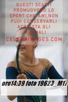 19623_M17-