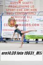 19631_M17-