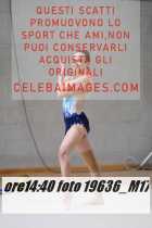 19636_M17-