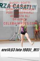 19851_M17-