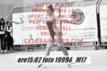 19994_M17-