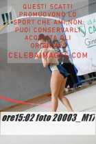 20003_M17-