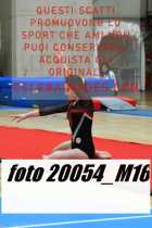 20054_M16-