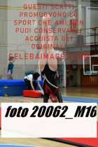 20062_M16-