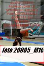 20085_M16-