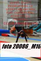 20086_M16-