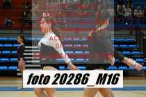 20286_M16-
