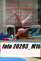 20293_M16-