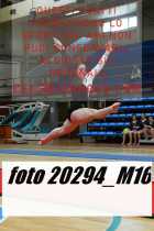 20294_M16-