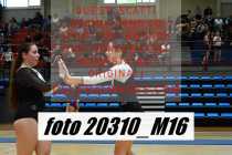 20310_M16-