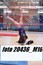 20436_M16-