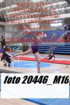 20446_M16-
