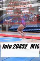 20452_M16-