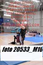 20533_M16-