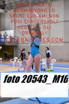 20543_M16-