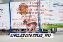 20136_M17-
