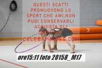 20158_M17-