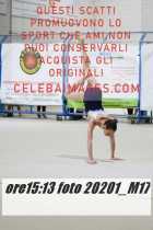 20201_M17-