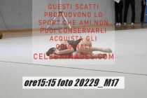 20229_M17-