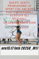 20258_M17-
