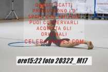 20322_M17-