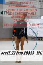 20323_M17-