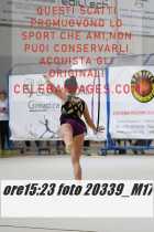 20339_M17-