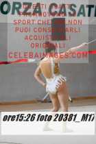 20381_M17-