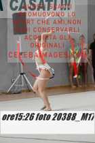 20388_M17-