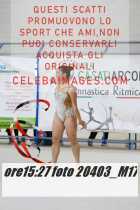20403_M17-