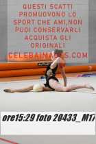 20433_M17-