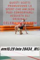 20434_M17-