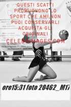 20462_M17-