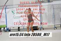 20506_M17-
