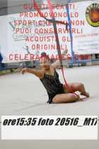 20516_M17-